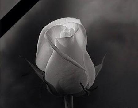 عکس پروفایل غمگین فوت خاله