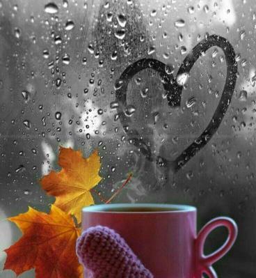 عکس نوشته باران هم که باشی برای کاسه های وارونه