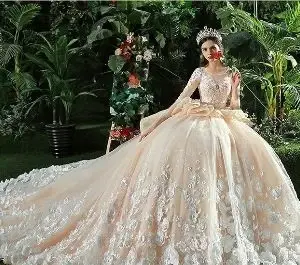 عکس لباس عروس گل گلی