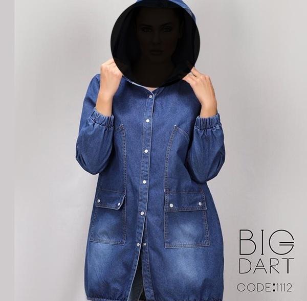 عکس مانتو لی شیک