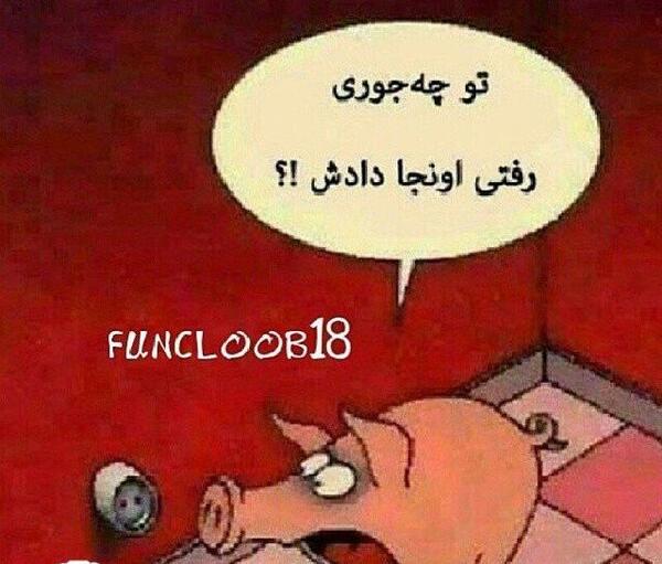 عکس های جالب جالب
