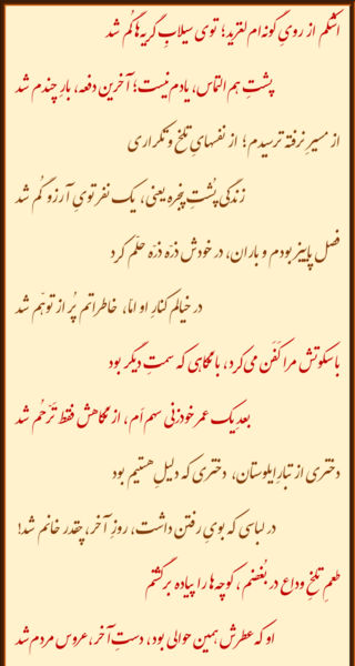 عکس نوشته پویا جمشیدی