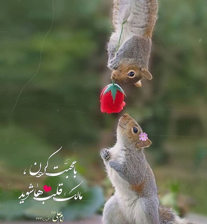 عکس نوشته حدیث محبت