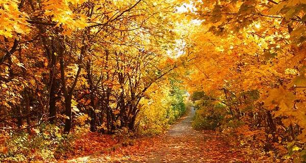عکس صلوات پاییزی
