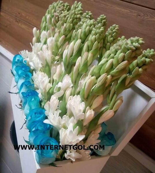 عکس یه سبد گل مریم