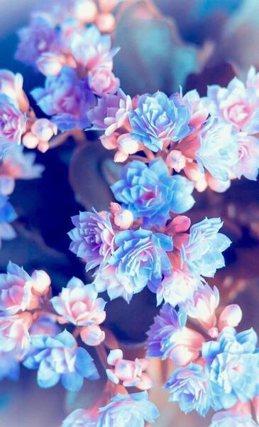 عکس سه بعدی دخترانه برای تصویر زمینه