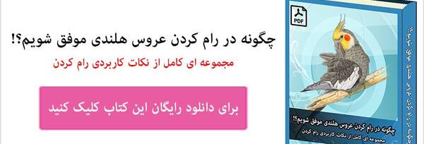 نکته عکس طوطی چیه