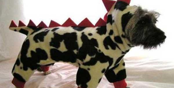 عکس ایده برای لباس سگ