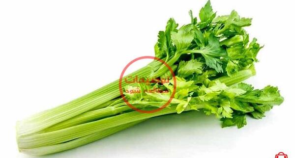 عکس نقاشی کرفس