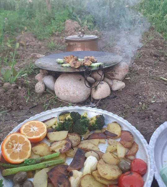 عکس غذا در طبیعت