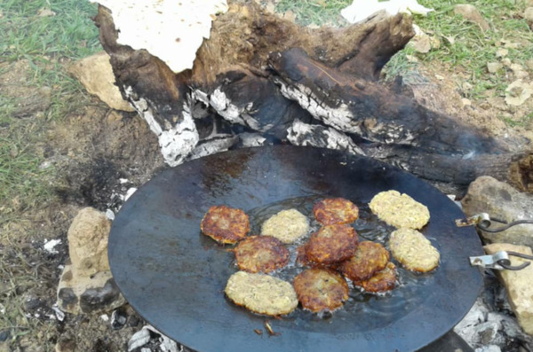 عکس غذا در طبیعت