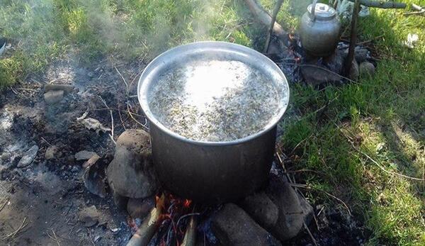 عکس غذا در طبیعت