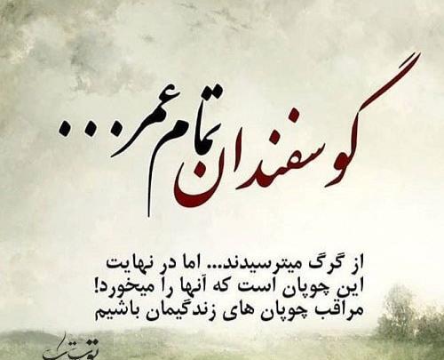 عکس نوشته رفیق بد