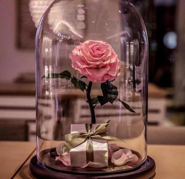 عکس عاشقانه پروفایل گل
