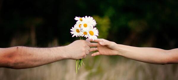 عکس عاشقانه گل دادن