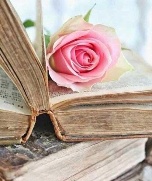 عکس قشنگ کتاب