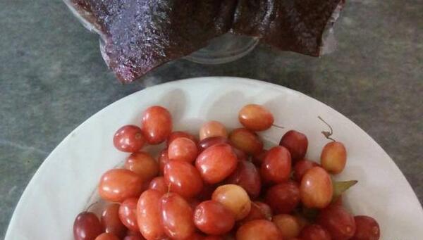 عکس لواشک زغال اخته
