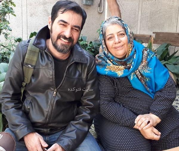 عکس امیرحسین شکری