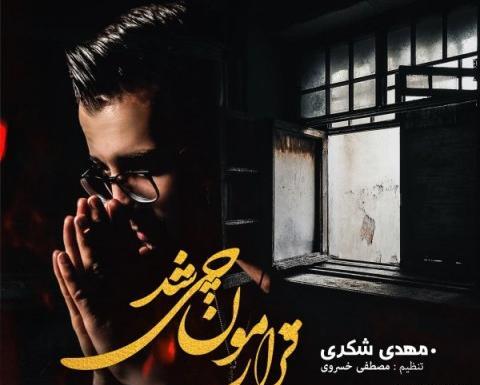 عکس امیرحسین شکری