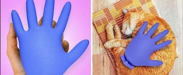 عکس ایده ترفند برای حیوانات خانگی