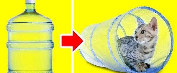 عکس ایده ترفند برای حیوانات خانگی