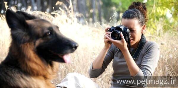 عکس ایده ترفند برای حیوانات خانگی