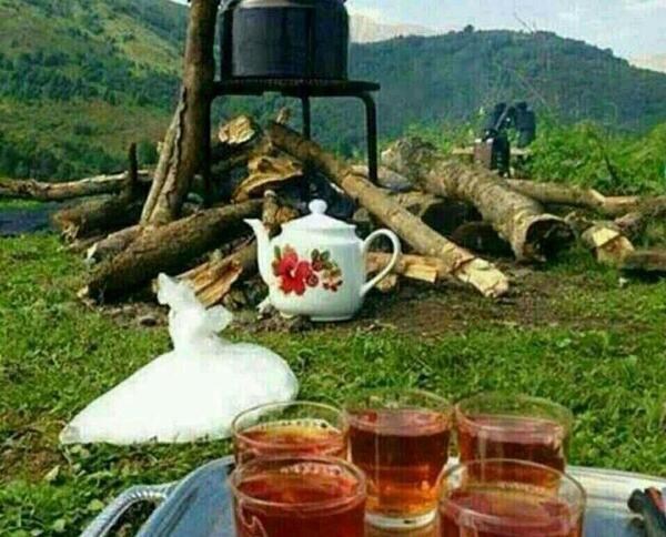 عکس استوری چایی