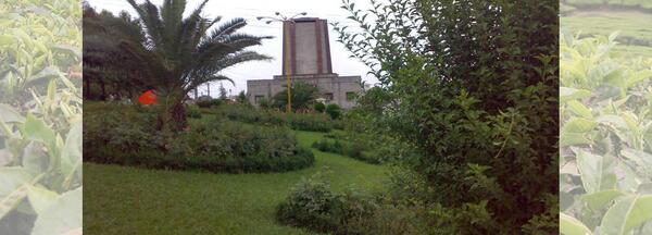 عکس پدر چای ایران