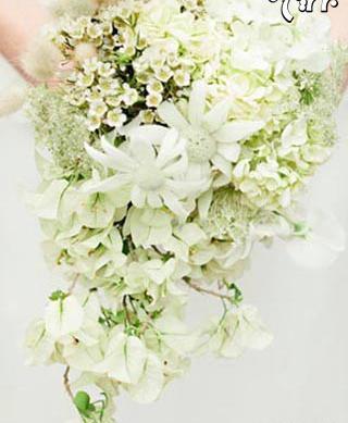 عکس دسته گل یاس سفید