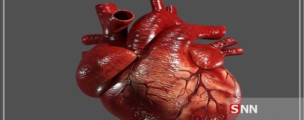 عکس قلب واقعی یک انسان