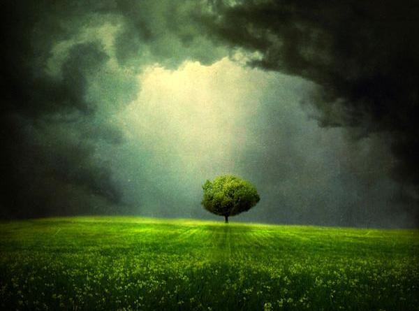 عکس های غمگین در طبیعت