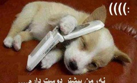 عکس خنده خنده دار