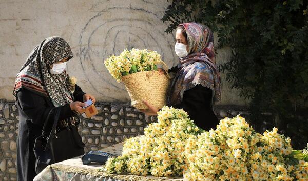 عکس چادری با گل نرگس