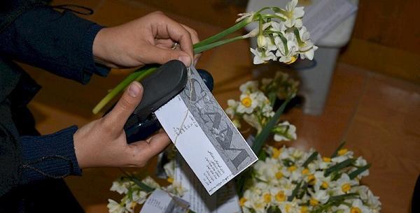 عکس چادری با گل نرگس