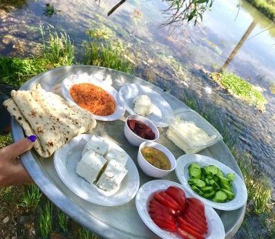 عکس ایده برای صبحانه در طبیعت