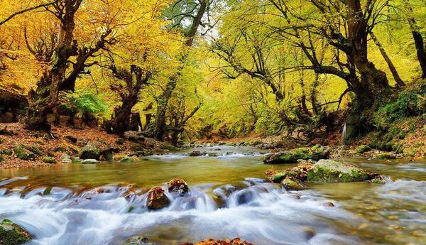 عکس شیرین رود