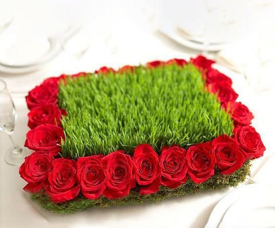 عکس سبزه عید نوروز ۱۴۰۳