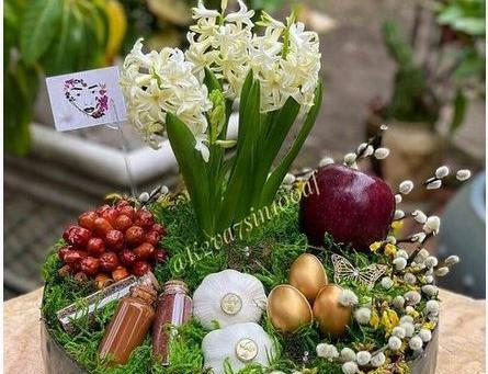 عکس سبزه عید نوروز ۱۴۰۳