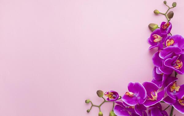 عکس ساده برای متن