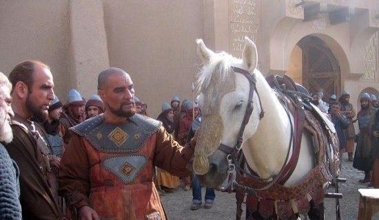 عکس اسب مختار