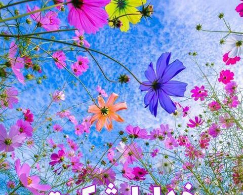 عکس نوشته خدایا سپاسگزارم