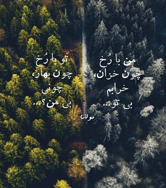 عکس طبیعت استوری
