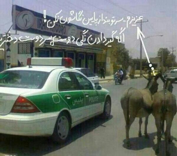 عکس طنز خاله