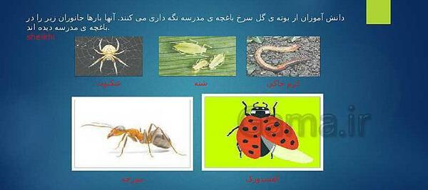 عکس کتاب علوم چهارم