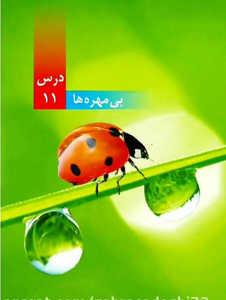 عکس کتاب علوم چهارم