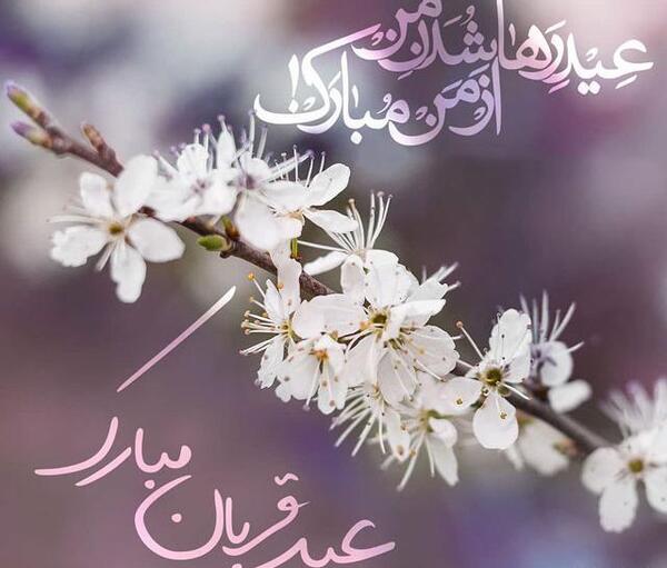 عکس نوشته برای عید قربان