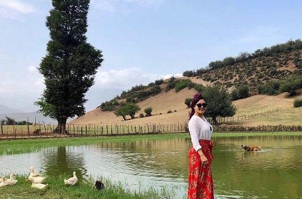 عکس زیبای طبیعت شمال