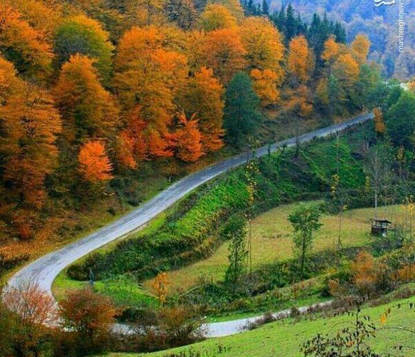 عکس زیبای طبیعت شمال