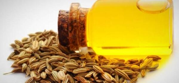 عکس از روغن رازیانه