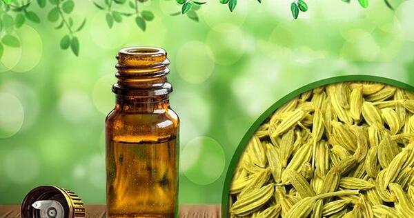عکس از روغن رازیانه